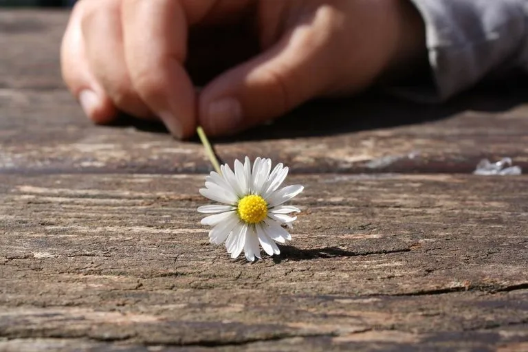 Attention to Small Things