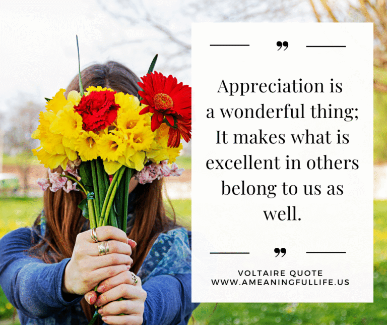 Daily Quote 05-28-2025