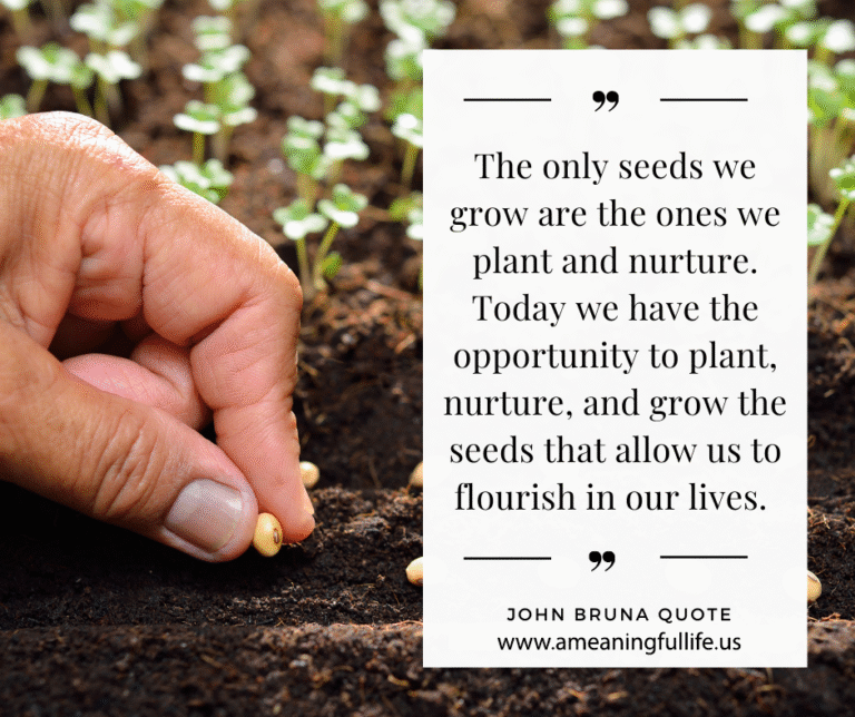 Daily Quote 10-25-2025